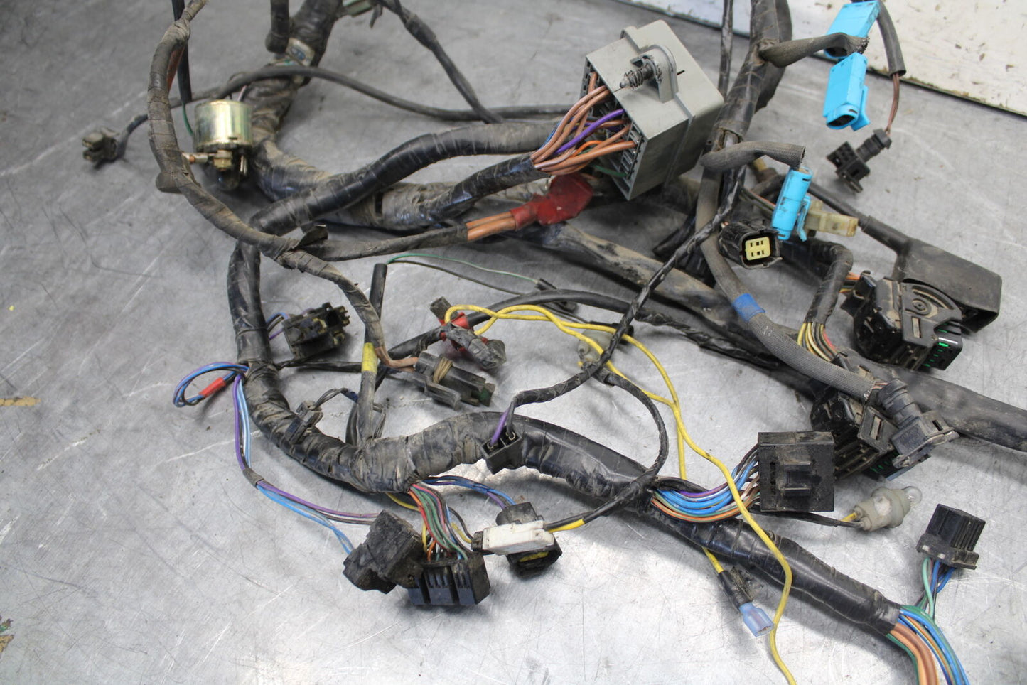 01-06 TRIUMPH TIGER 955I MAIN ENGINE WIRING HARNESS MOTOR WIRE LOOM BB693