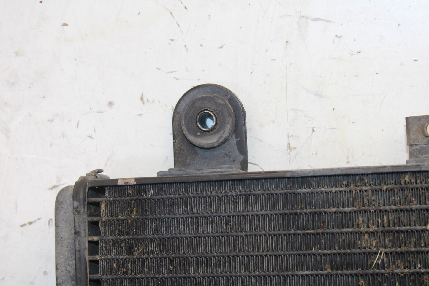 01-06 TRIUMPH TIGER 955I ENGINE RADIATOR MOTOR COOLER COOLING RADIATER BB693