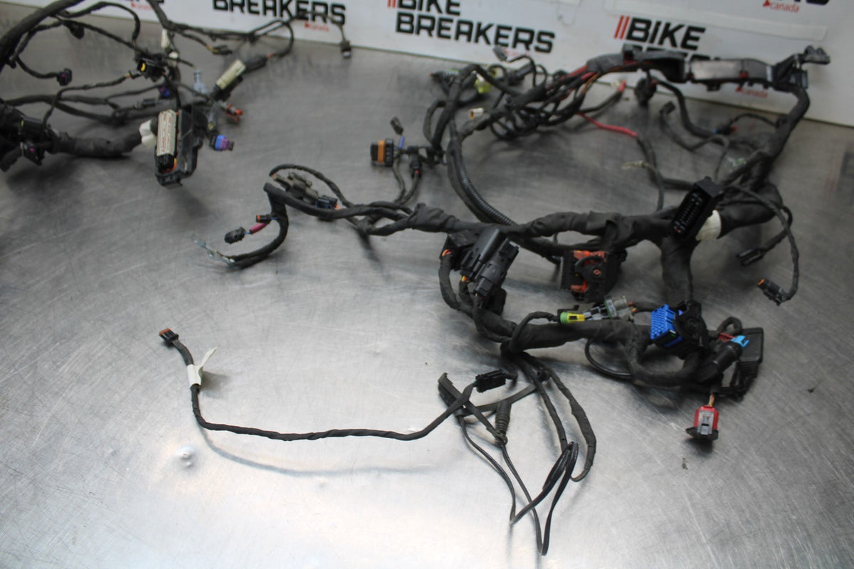 22 HARLEY-DAVIDSON PAN AMERICA 1250 MAIN WIRING HARNESS & MOTOR WIRE LOOM BB910