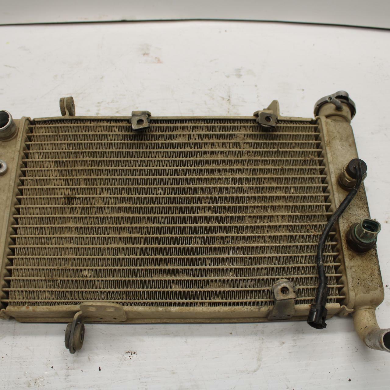 03-06 SUZUKI QUADSPORT Z400 ENGINE RADIATOR MOTOR COOLER COOLING RADIATER BB256