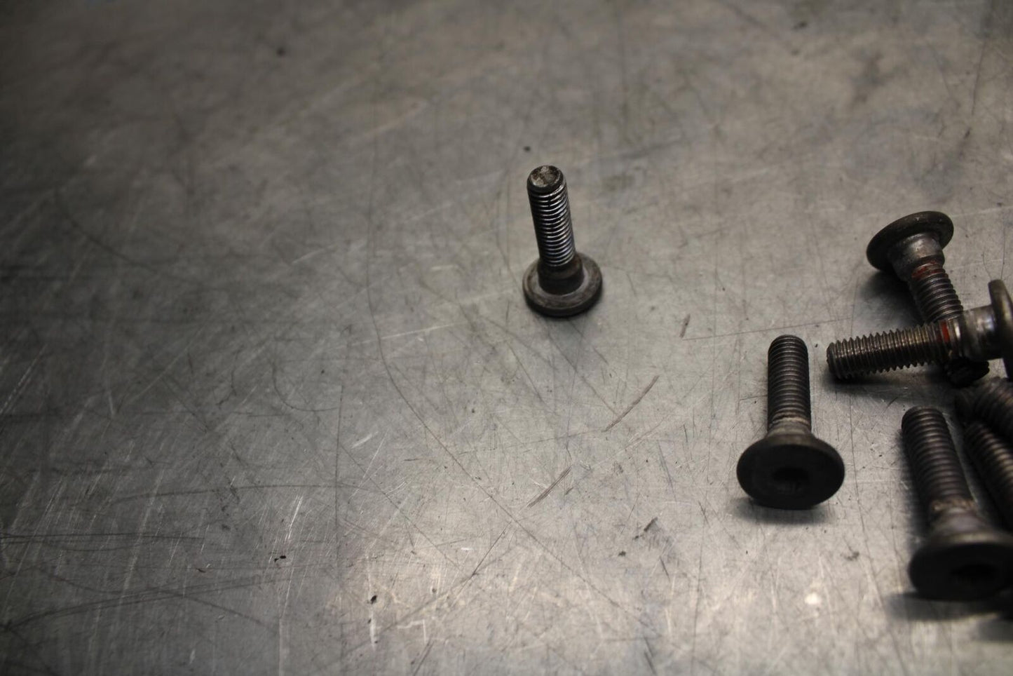 2005 Kawasaki Ninja ZX6R ZX636C FRONT BRAKE ROTOR BOLTS DISC SCREW SET BB03