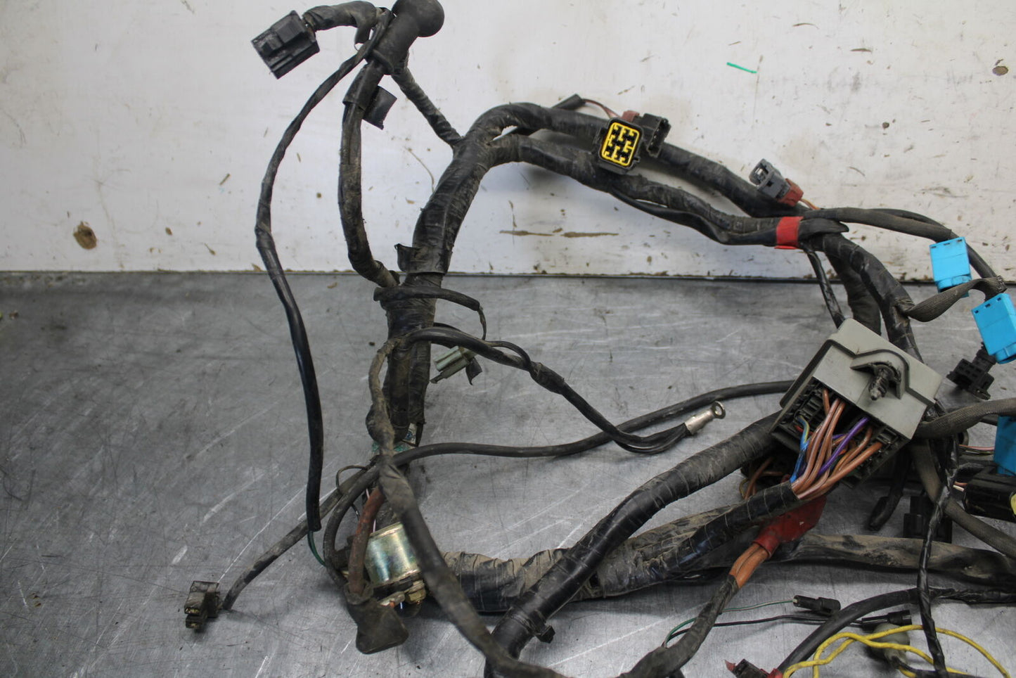 01-06 TRIUMPH TIGER 955I MAIN ENGINE WIRING HARNESS MOTOR WIRE LOOM BB693