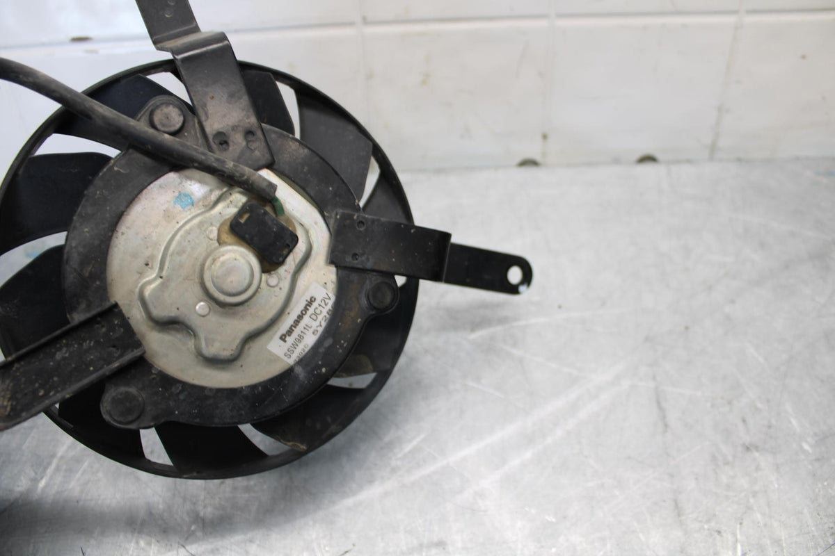 2006 Triumph Daytona 675 Triple ENGINE RADIATOR COOLING FAN BB434