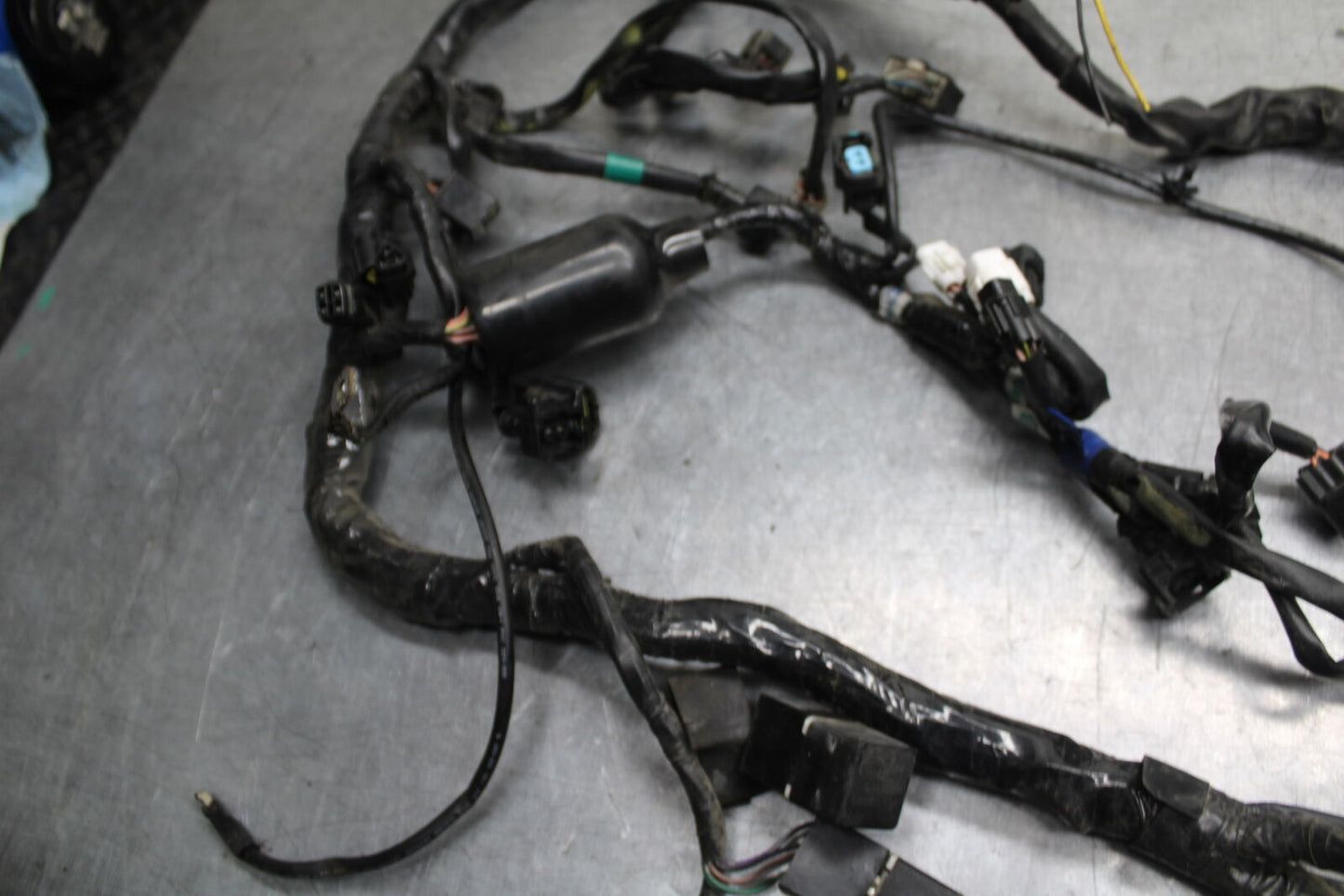 03-04 TRIUMPH DAYTONA 600 MAIN ENGINE WIRING HARNESS MOTOR WIRE LOOM BB745