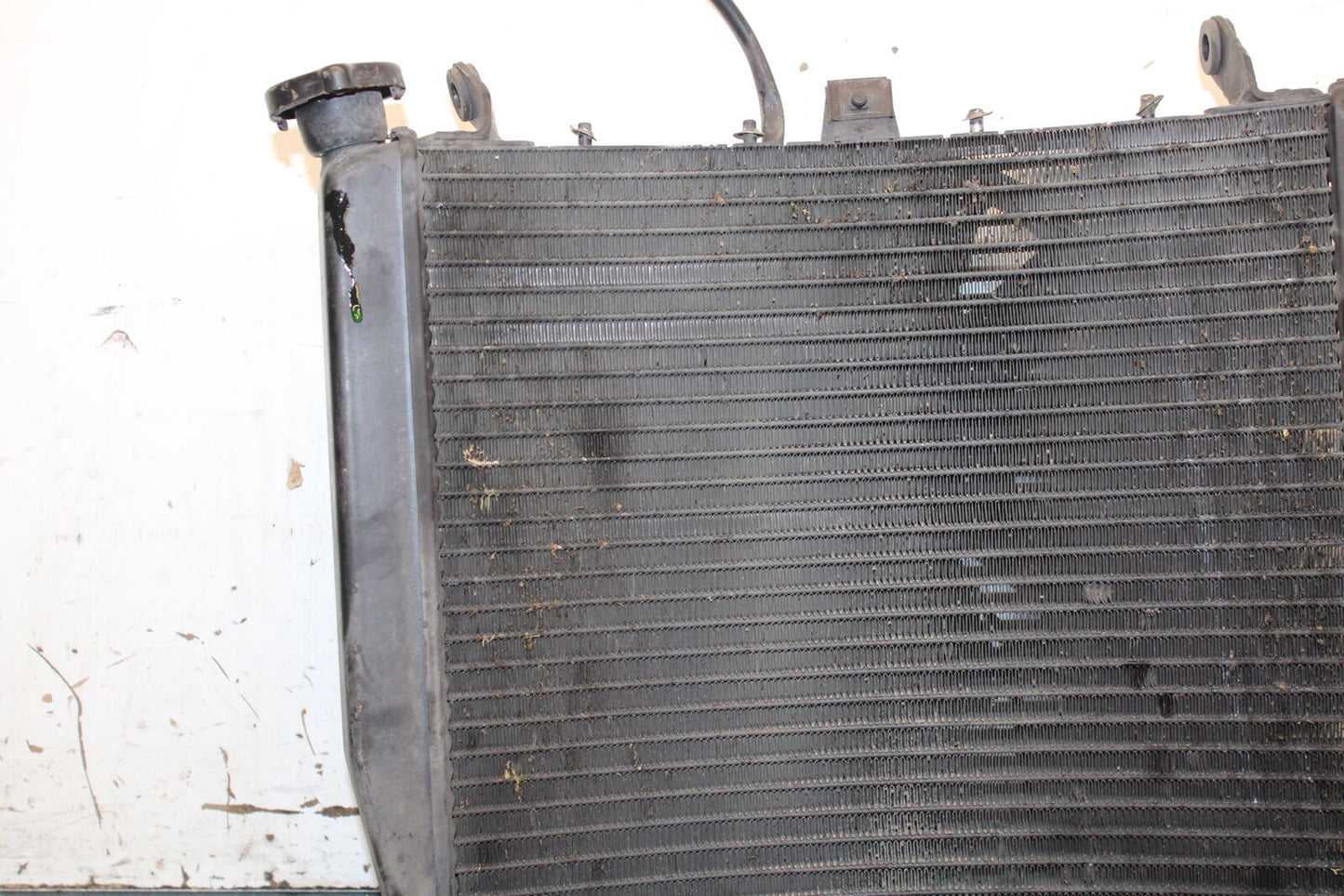 03-04 TRIUMPH DAYTONA 600 ENGINE RADIATOR MOTOR COOLER COOLING RADIATER BB745