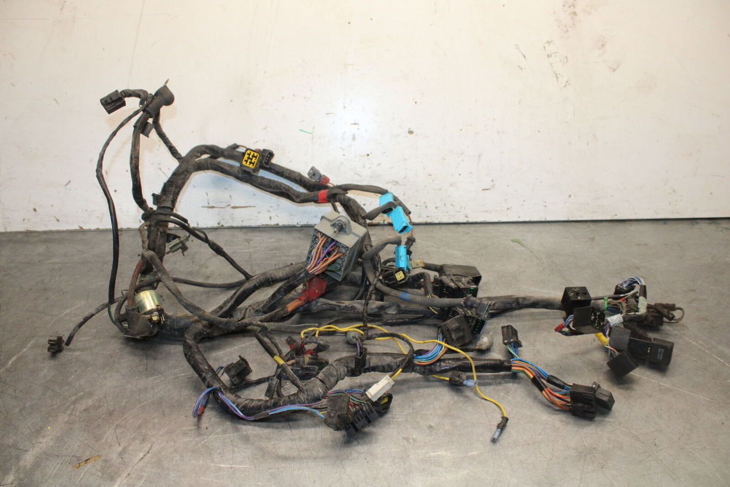 01-06 TRIUMPH TIGER 955I MAIN ENGINE WIRING HARNESS MOTOR WIRE LOOM BB693