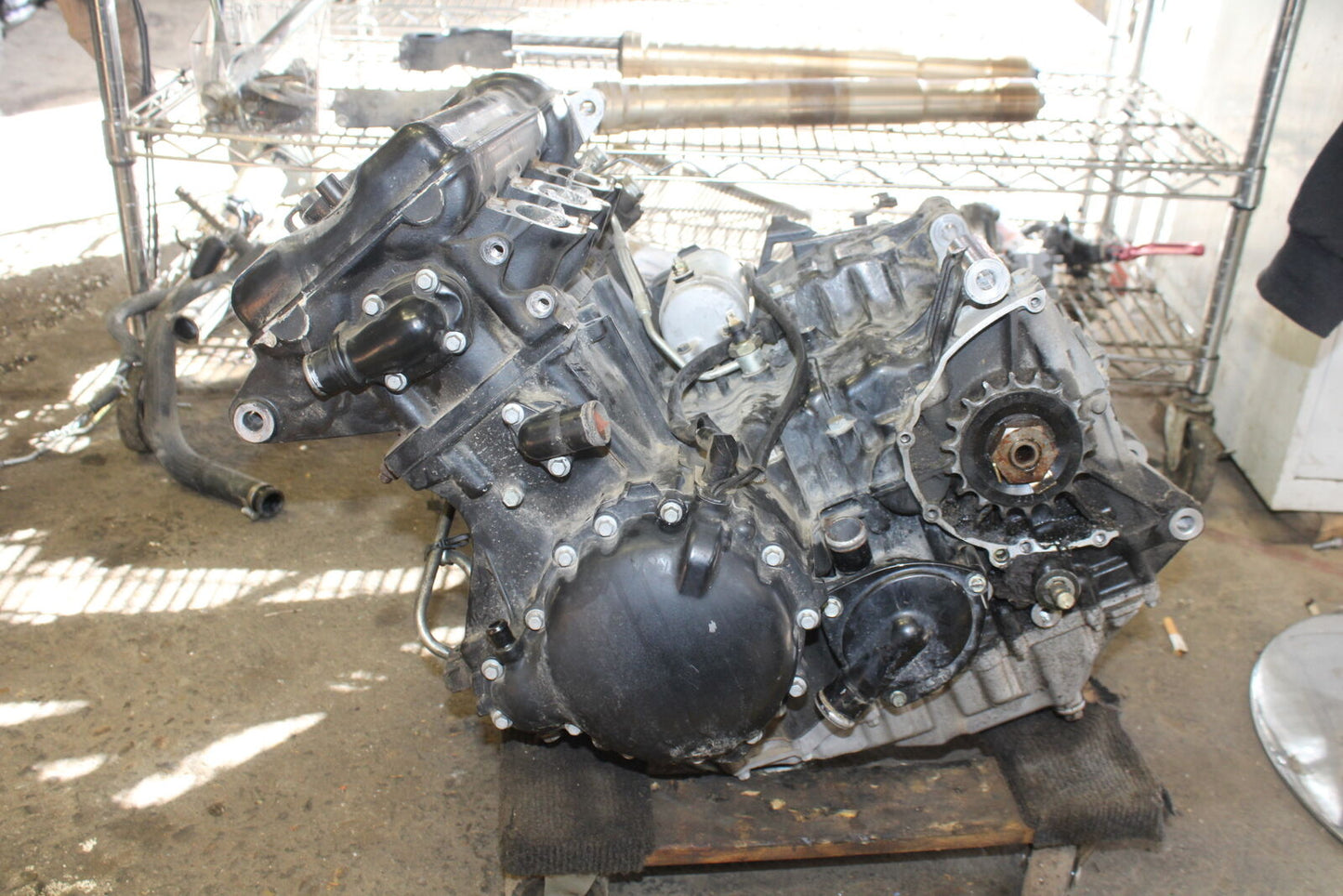01-06 TRIUMPH TIGER 955I ENGINE MOTOR BB693