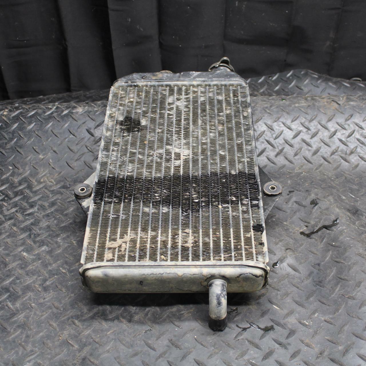 02-06 YAMAHA BANSHEE 350 ENGINE RADIATOR MOTOR COOLER COOLING RADIATER BB214