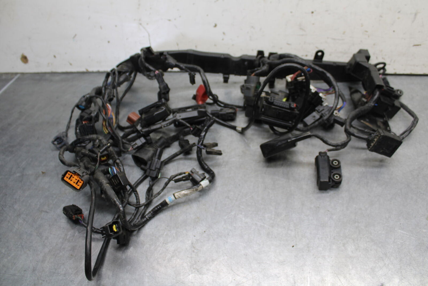 14-15 TRIUMPH STREET TRIPLE R MAIN ENGINE WIRING HARNESS MOTOR WIRE LOOM BB441