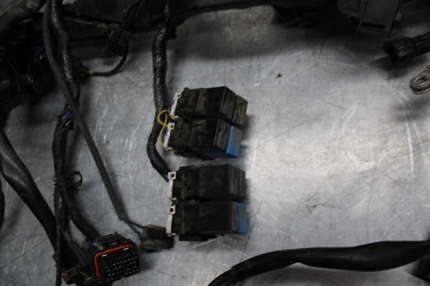 17-21 TRIUMPH STREET TRIPPLE R ABS MAIN WIRING HARNESS MOTOR WIRE LOOM bb452