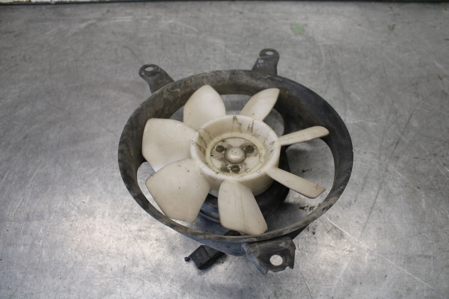 01-06 TRIUMPH TIGER 955I ENGINE RADIATOR COOLING FAN BB693