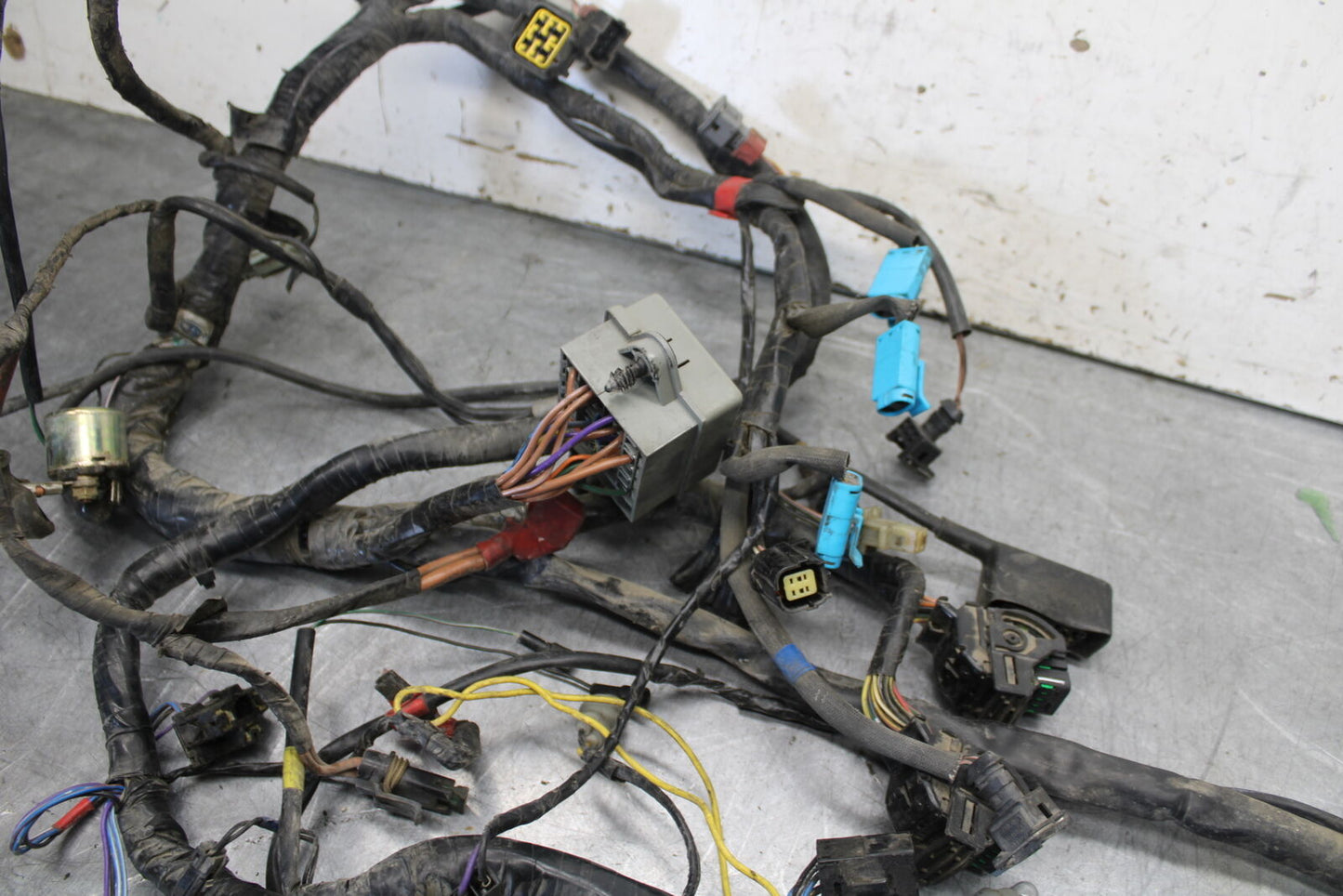 01-06 TRIUMPH TIGER 955I MAIN ENGINE WIRING HARNESS MOTOR WIRE LOOM BB693
