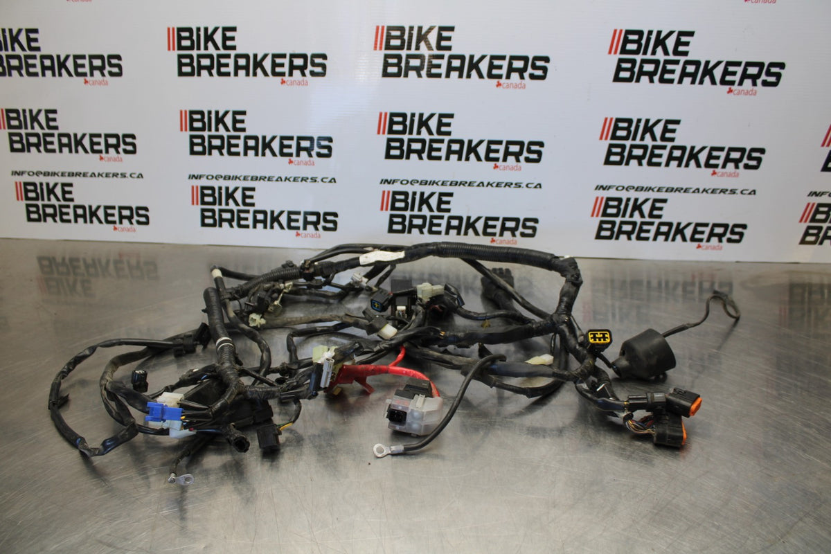 09 YAMAHA V STAR 950 MAIN ENGINE WIRING HARNESS MOTOR WIRE LOOM BB172