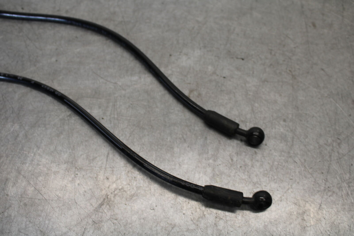19-21 TRIUMPH SPEED TWIN 1200 FRONT BRAKE CALIPER HOSES LINES BB653