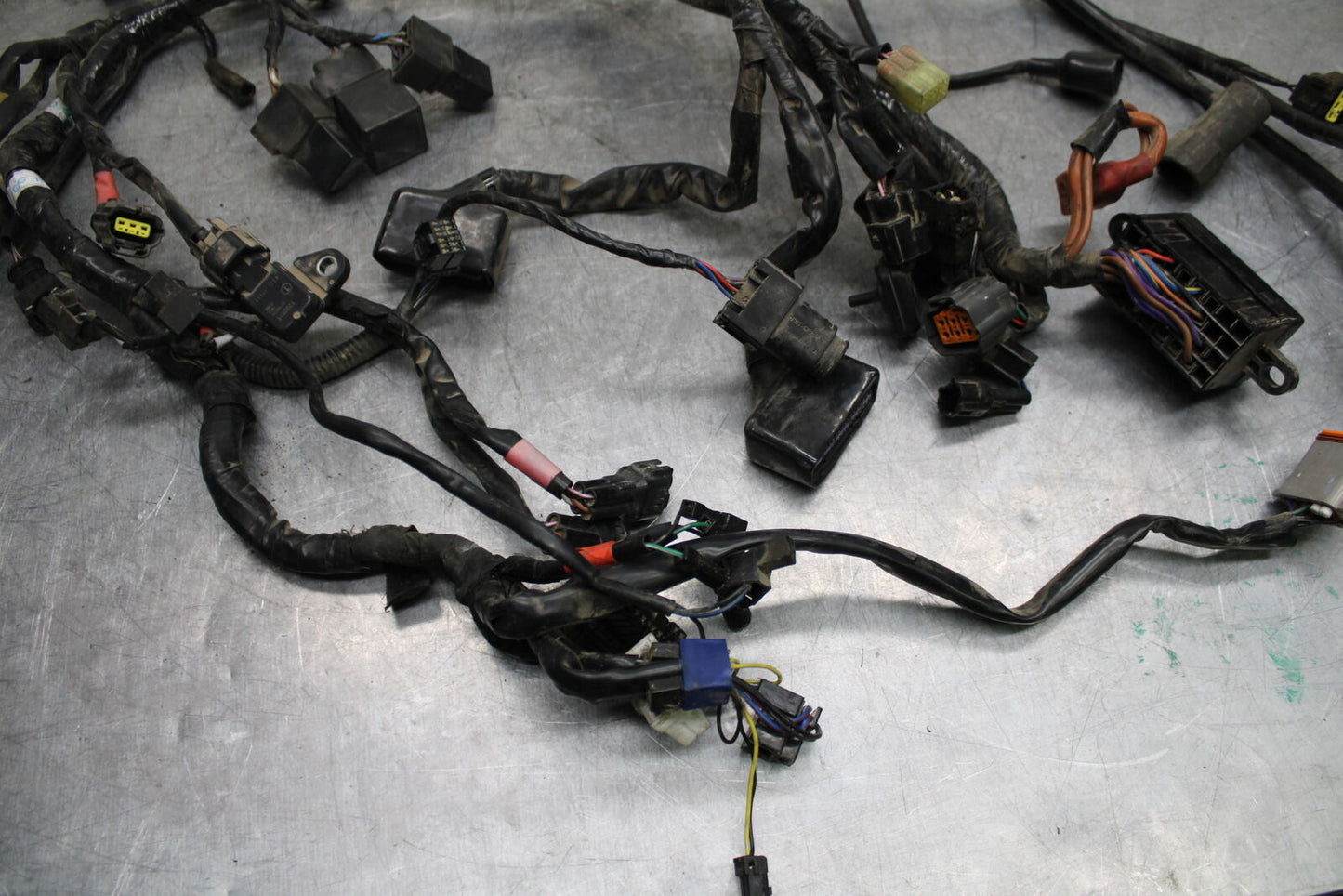 14-16 TRIUMPH AMERICA LT MAIN ENGINE WIRING HARNESS MOTOR WIRE LOOM BB720