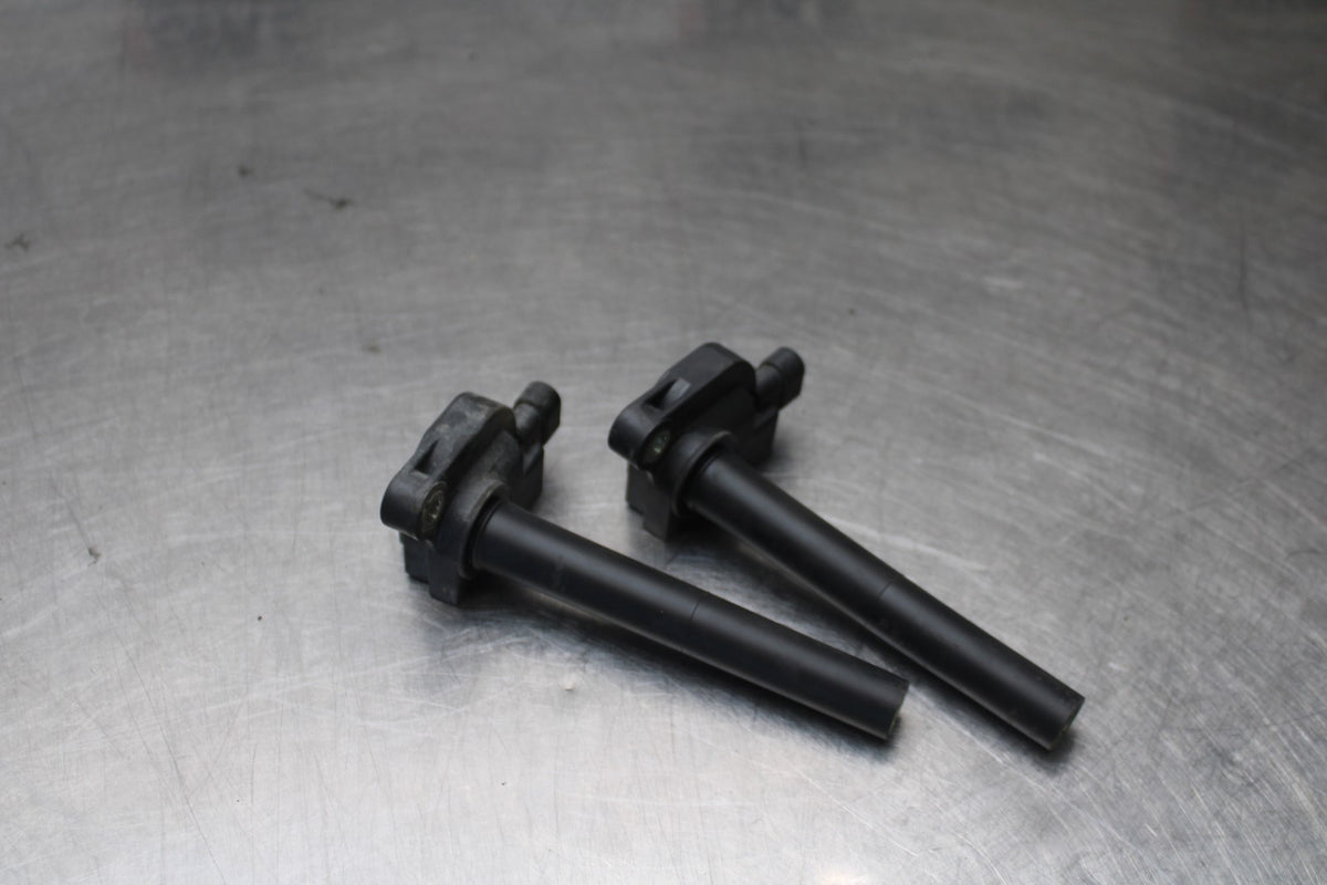 22 HARLEY-DAVIDSON PAN AMERICA 1250 IGNITION COILS COIL SPARK PLUG CAPS BB910
