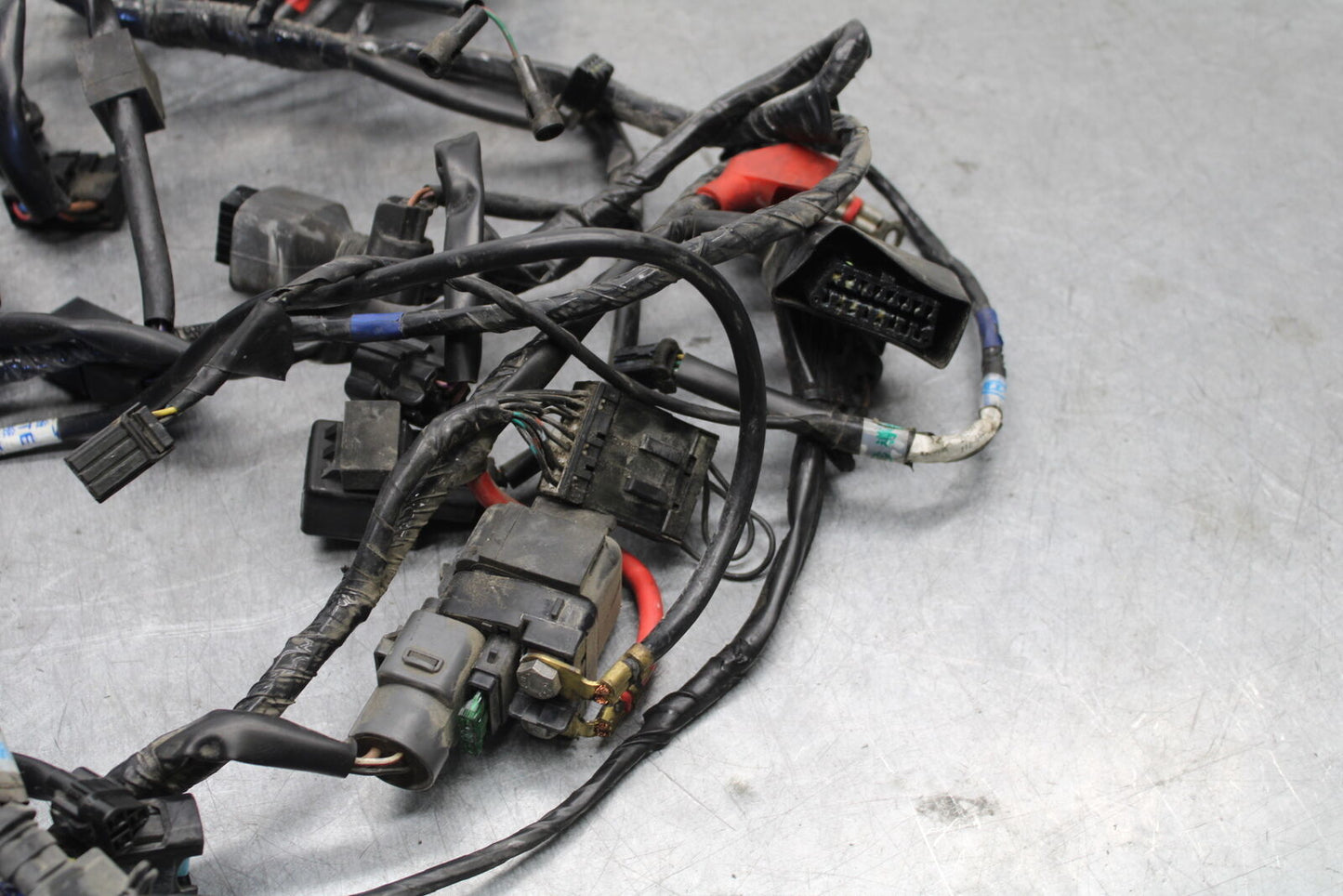 07-08 TRIUMPH DAYTONA 675 MAIN ENGINE WIRING HARNESS WIRE LOOM T2501656 BB685