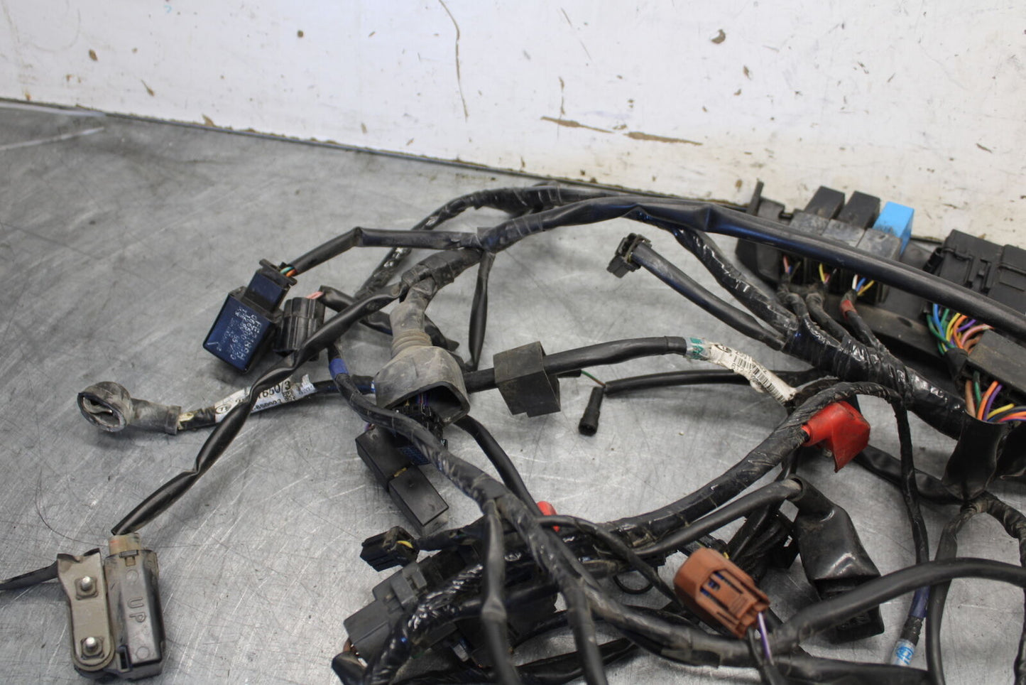 07-08 TRIUMPH DAYTONA 675 MAIN ENGINE WIRING HARNESS WIRE LOOM T2501656 BB685