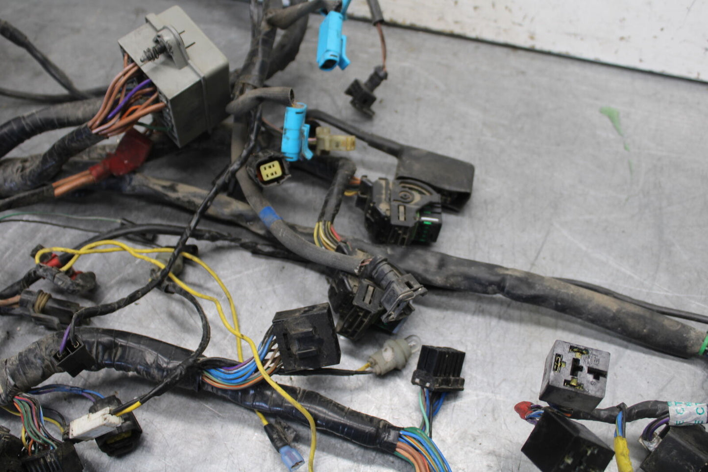 01-06 TRIUMPH TIGER 955I MAIN ENGINE WIRING HARNESS MOTOR WIRE LOOM BB693