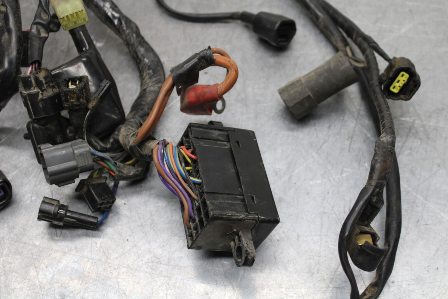 14-16 TRIUMPH AMERICA LT MAIN ENGINE WIRING HARNESS MOTOR WIRE LOOM BB720