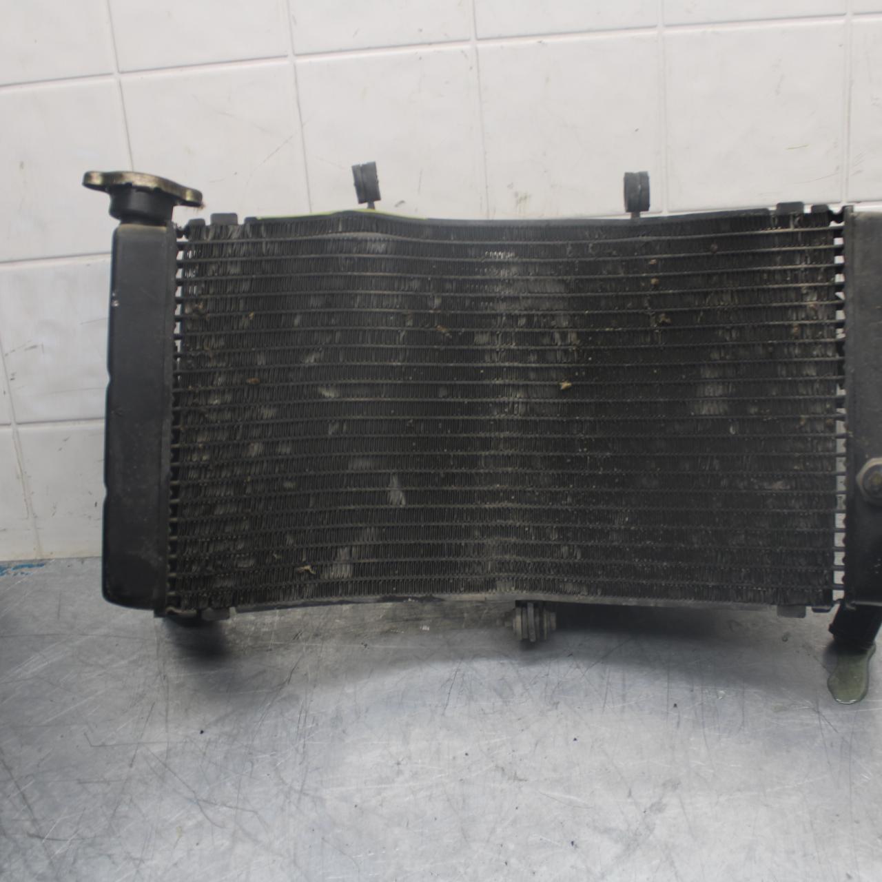 98-99 HONDA CBR900RR ENGINE RADIATOR MOTOR COOLER COOLING RADIATER BB458