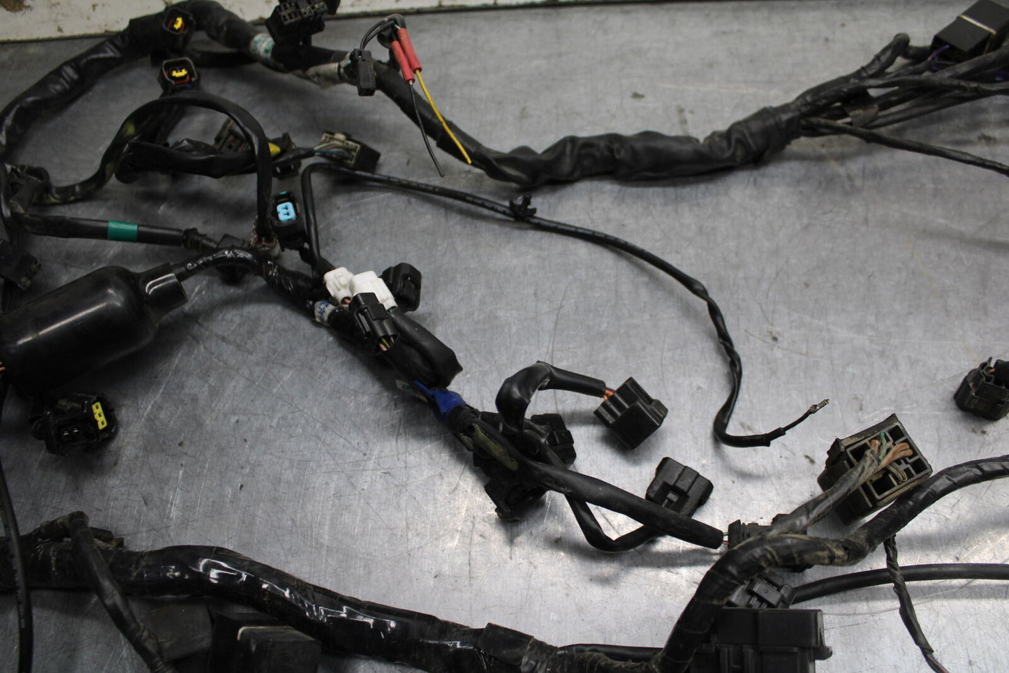 03-04 TRIUMPH DAYTONA 600 MAIN ENGINE WIRING HARNESS MOTOR WIRE LOOM BB745