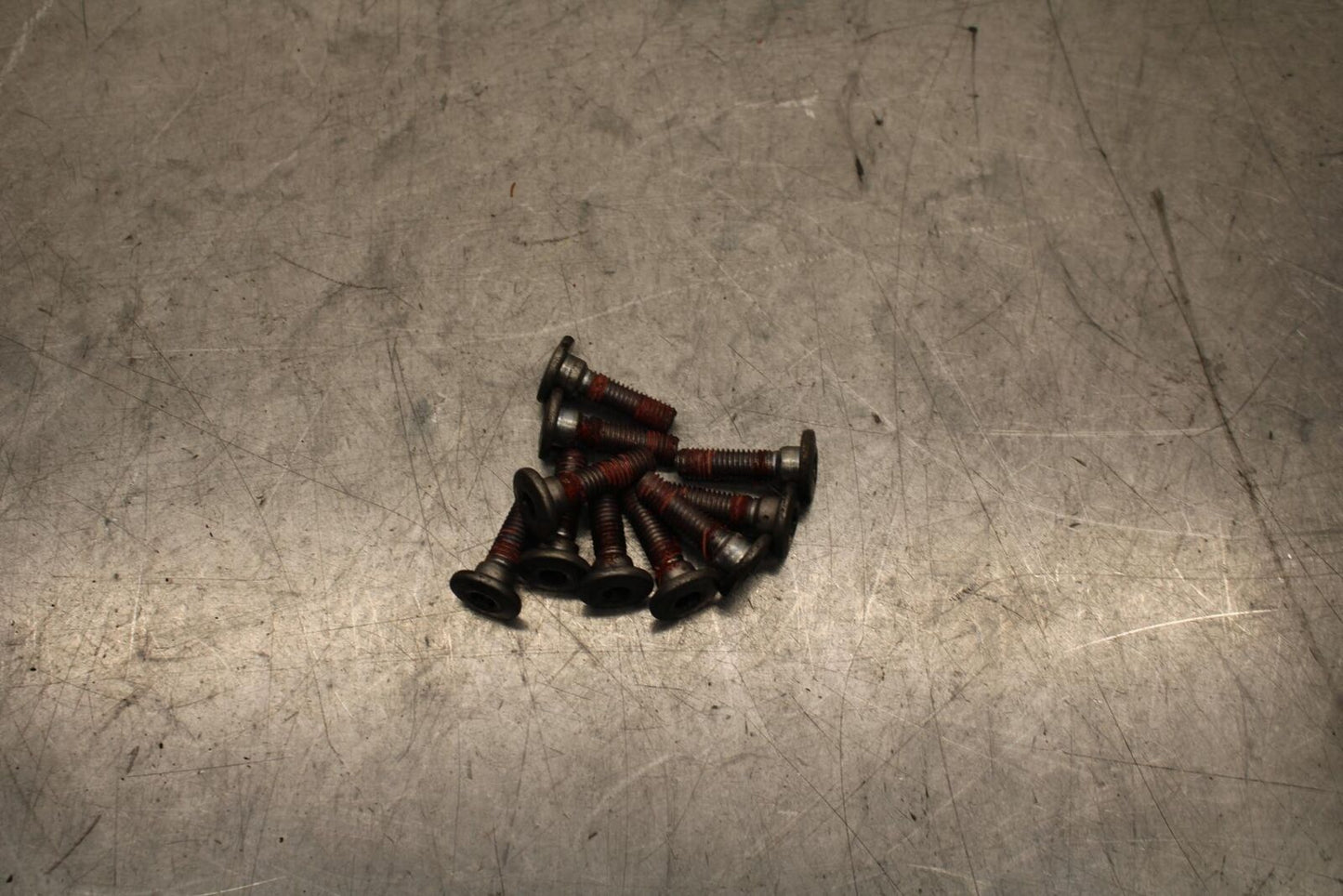 2003 Kawasaki Ninja ZX6RR ZX600K FRONT BRAKE ROTOR BOLTS DISC BB66