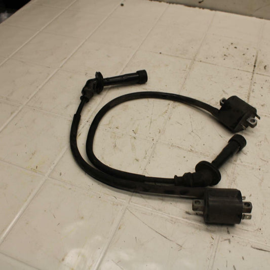 03-05 SUZUKI SV1000 IGNITION COILS COIL SPARK PLUG CAPS BB405