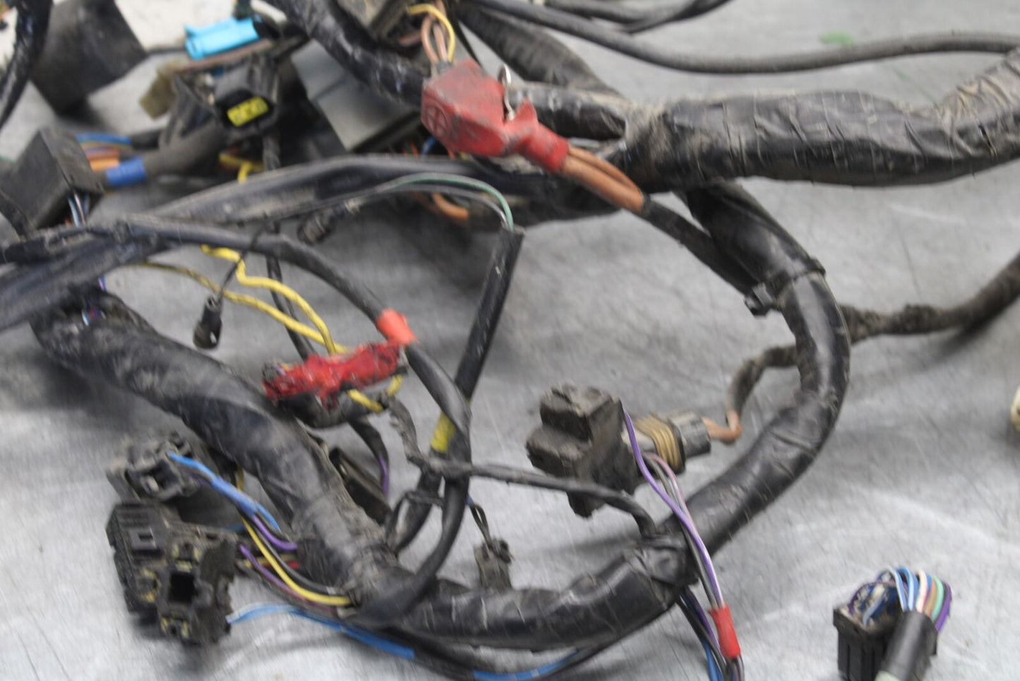 01-06 TRIUMPH TIGER 955I MAIN ENGINE WIRING HARNESS MOTOR WIRE LOOM BB693