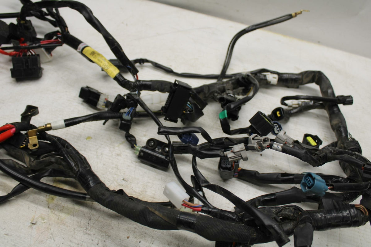 16-21 YAMAHA XSR900 MAIN ENGINE WIRING HARNESS MOTOR WIRE LOOM BB362