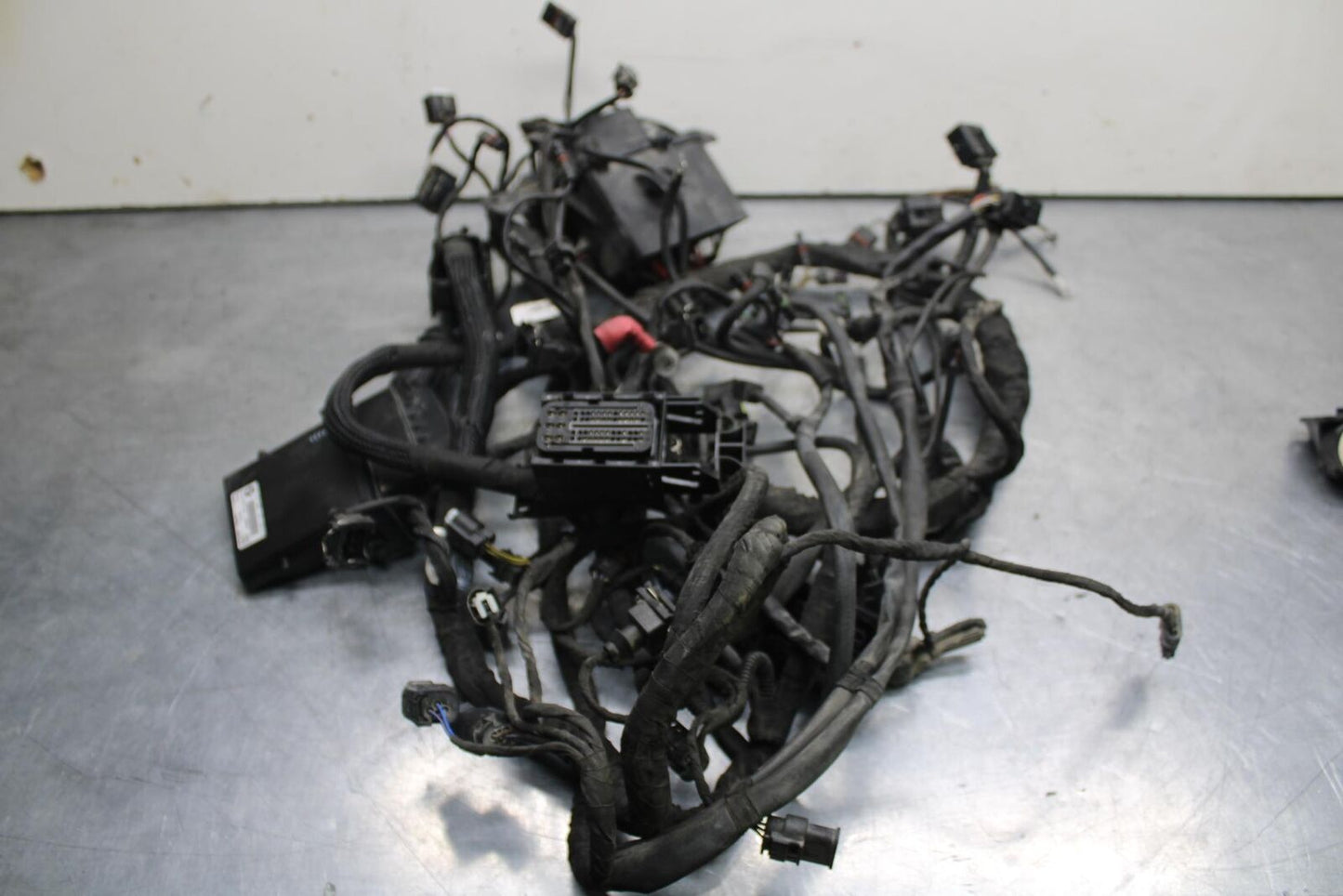 2016 BMW S1000R ABS MAIN ENGINE WIRING HARNESS MOTOR WIRE 61 11 8 556 086 BB604