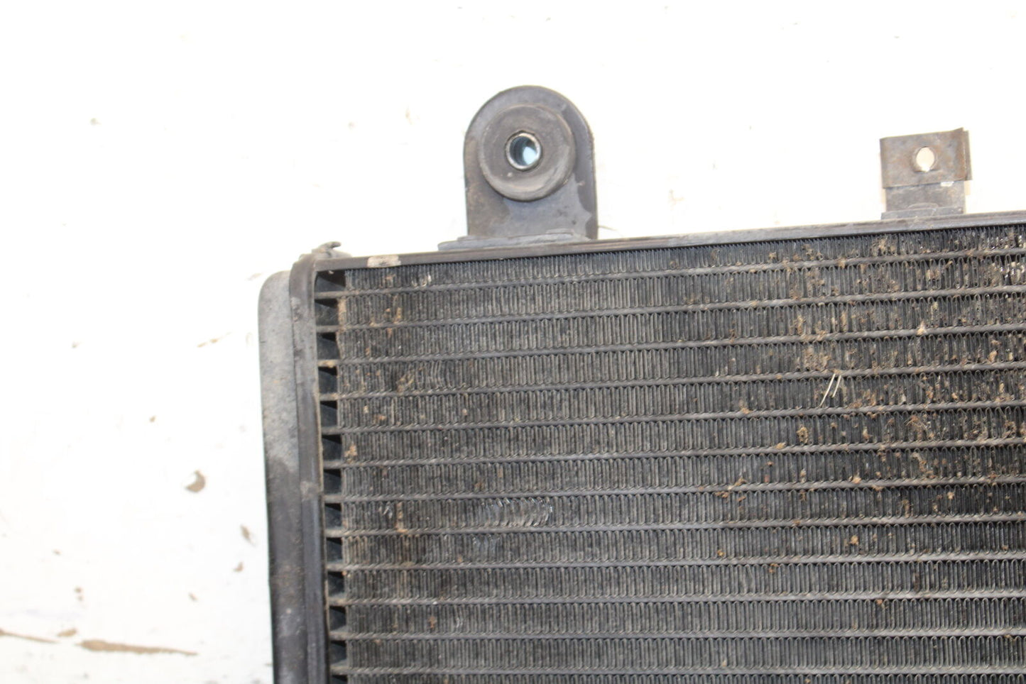 01-06 TRIUMPH TIGER 955I ENGINE RADIATOR MOTOR COOLER COOLING RADIATER BB693