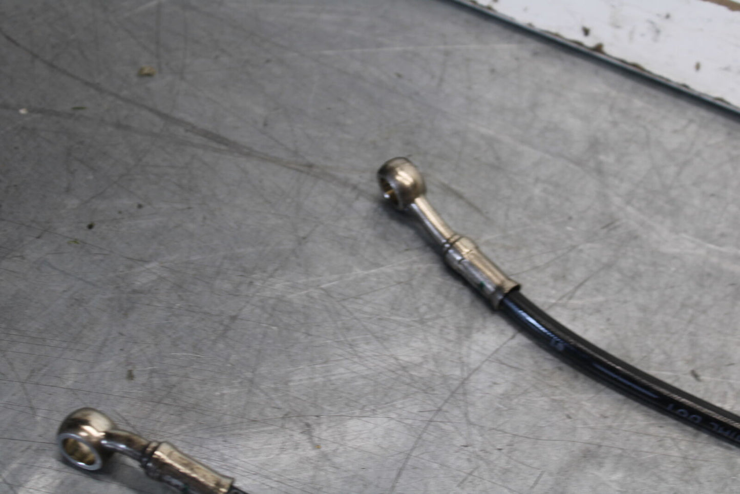19-21 TRIUMPH SPEED TWIN 1200 FRONT BRAKE CALIPER HOSES LINES BB653