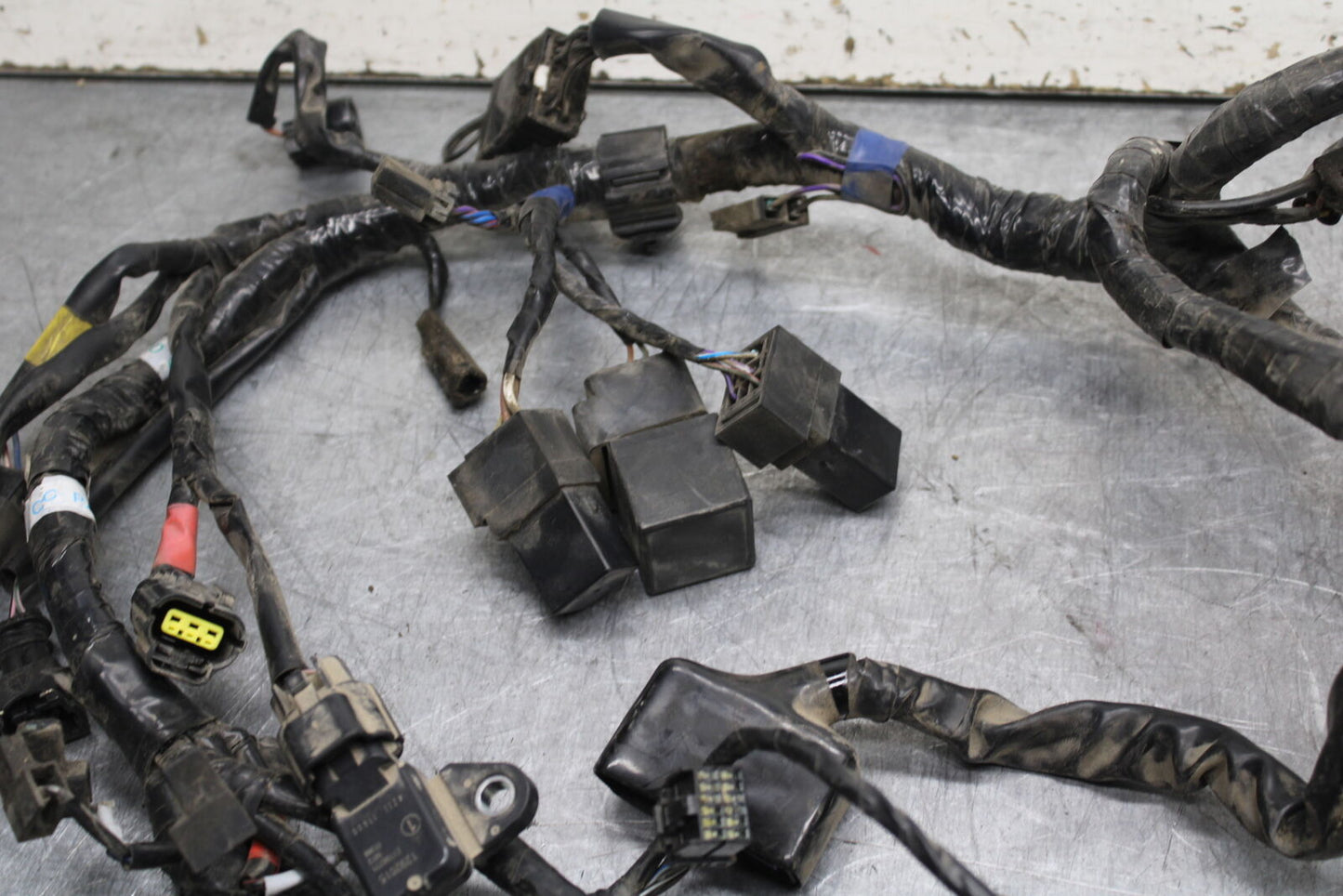 14-16 TRIUMPH AMERICA LT MAIN ENGINE WIRING HARNESS MOTOR WIRE LOOM BB720