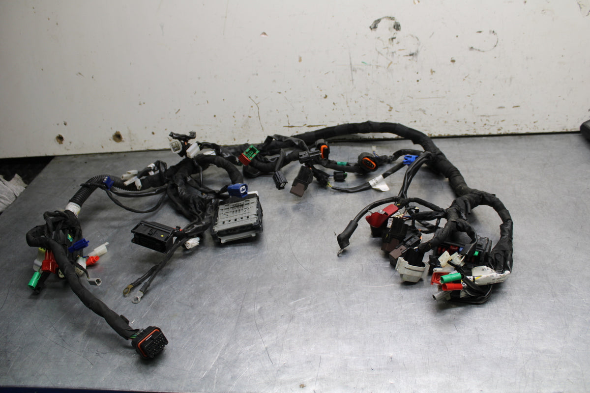 17-24 KTM 390 DUKE MAIN ENGINE WIRING HARNESS MOTOR WIRE LOOM BB734