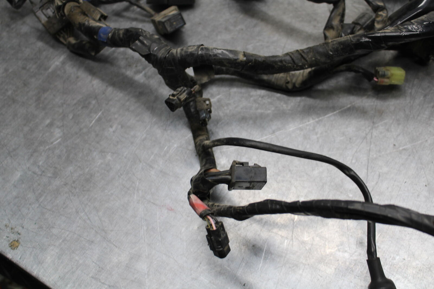 14-16 TRIUMPH AMERICA LT MAIN ENGINE WIRING HARNESS MOTOR WIRE LOOM BB720