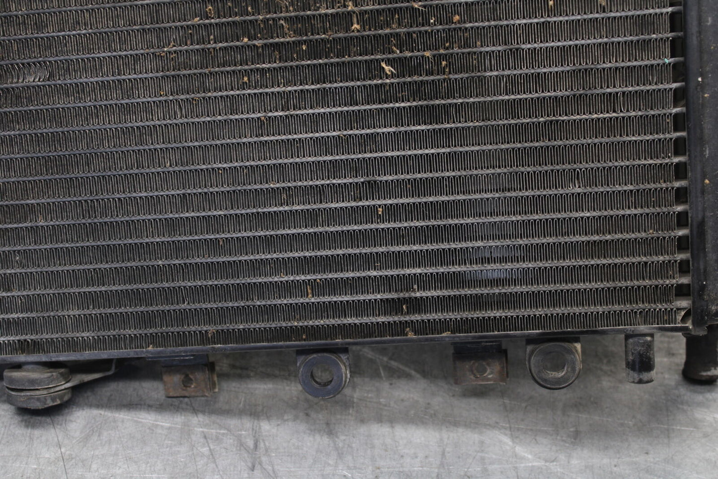 01-06 TRIUMPH TIGER 955I ENGINE RADIATOR MOTOR COOLER COOLING RADIATER BB693
