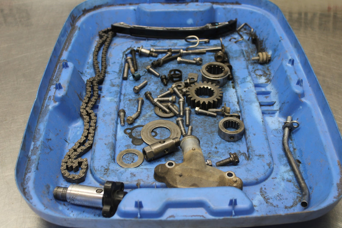 15 TRIUMPH TIGER 800 ENGINE BOLTS HARDWARE MOTOR SCREWS BB873