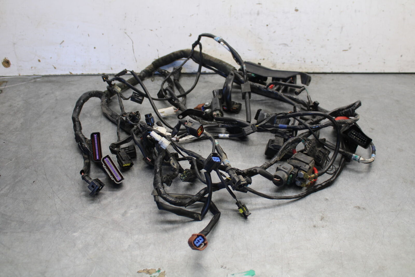 07-08 TRIUMPH DAYTONA 675 MAIN ENGINE WIRING HARNESS WIRE LOOM T2501656 BB685