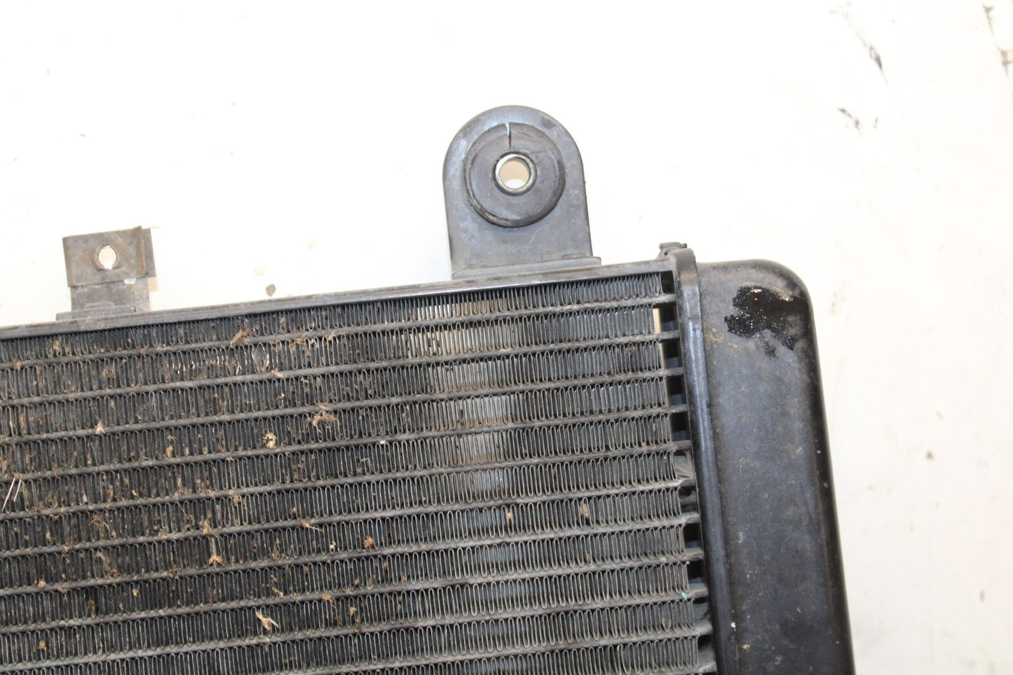01-06 TRIUMPH TIGER 955I ENGINE RADIATOR MOTOR COOLER COOLING RADIATER BB693