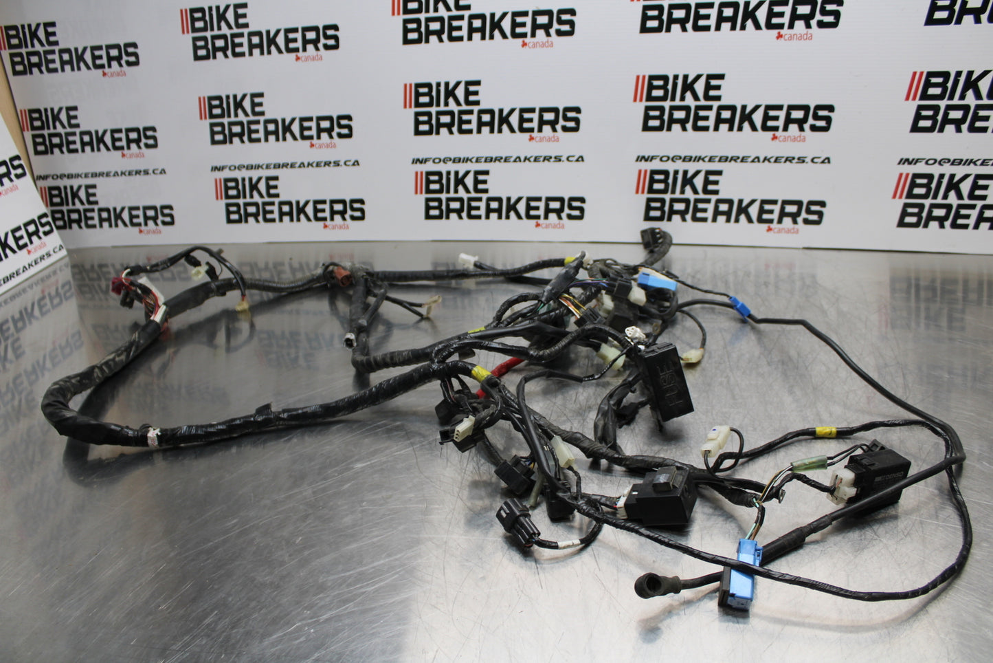 09 YAMAHA ROYAL STAR XVZ1300TF VENTURE MAIN ENGINE WIRING HARNESS BB151