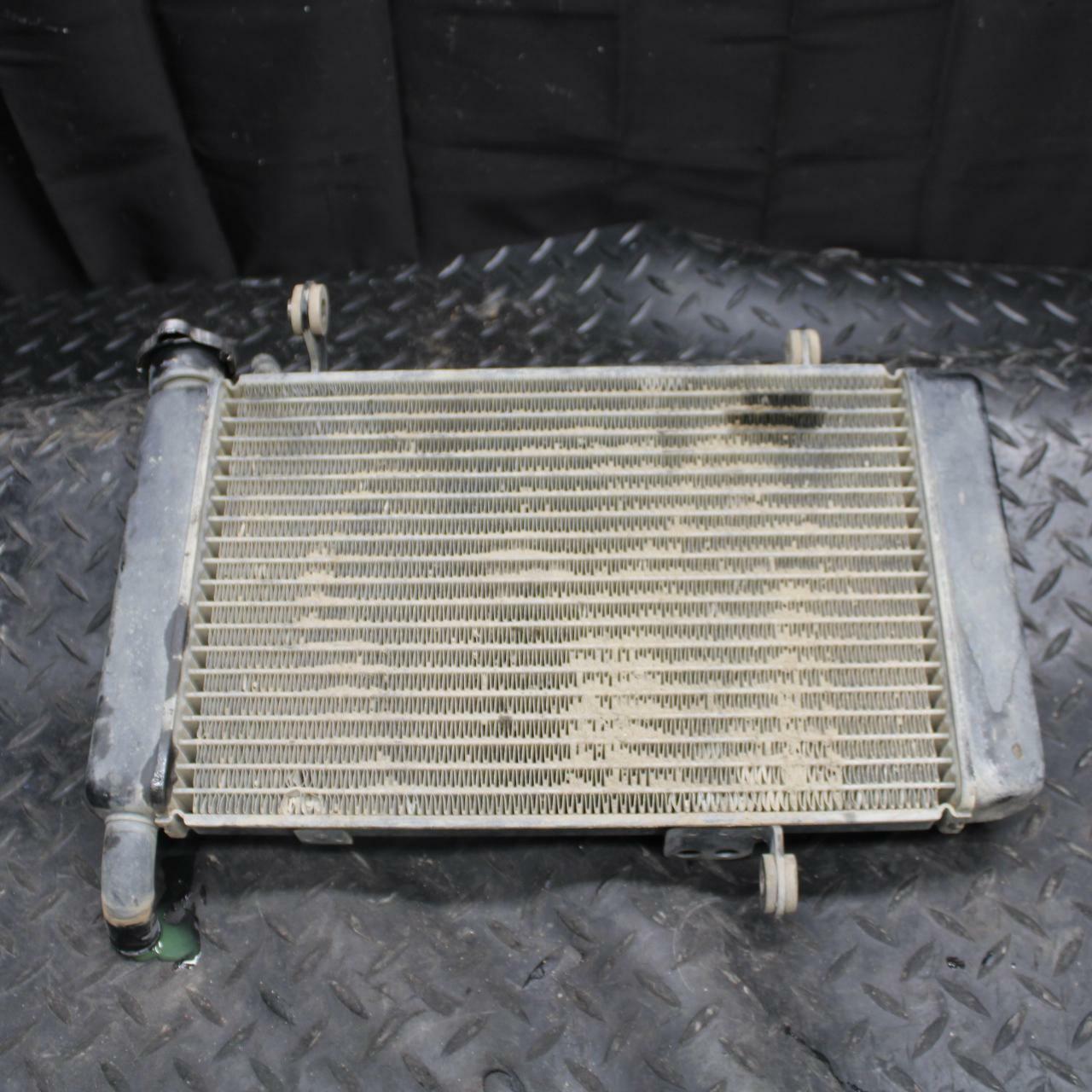 03-06 SUZUKI QUADSPORT Z400 ENGINE RADIATOR MOTOR COOLER COOLING RADIATER BB207