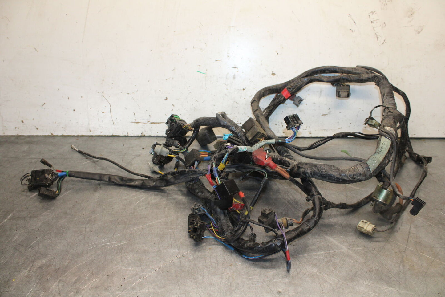 01-06 TRIUMPH TIGER 955I MAIN ENGINE WIRING HARNESS MOTOR WIRE LOOM BB693