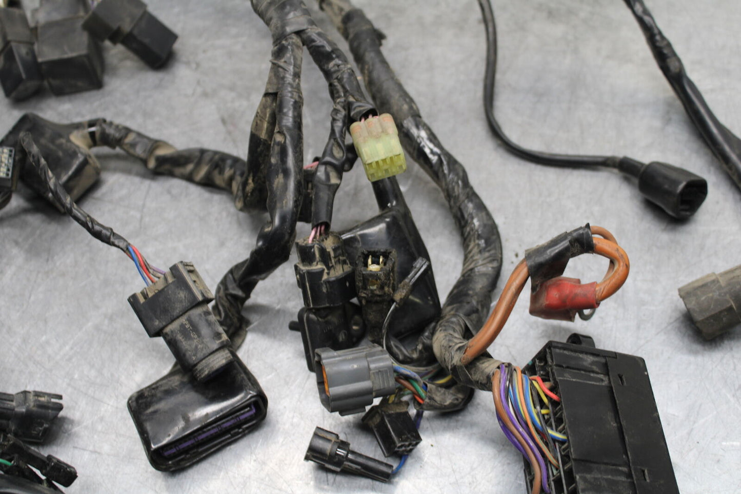 14-16 TRIUMPH AMERICA LT MAIN ENGINE WIRING HARNESS MOTOR WIRE LOOM BB720