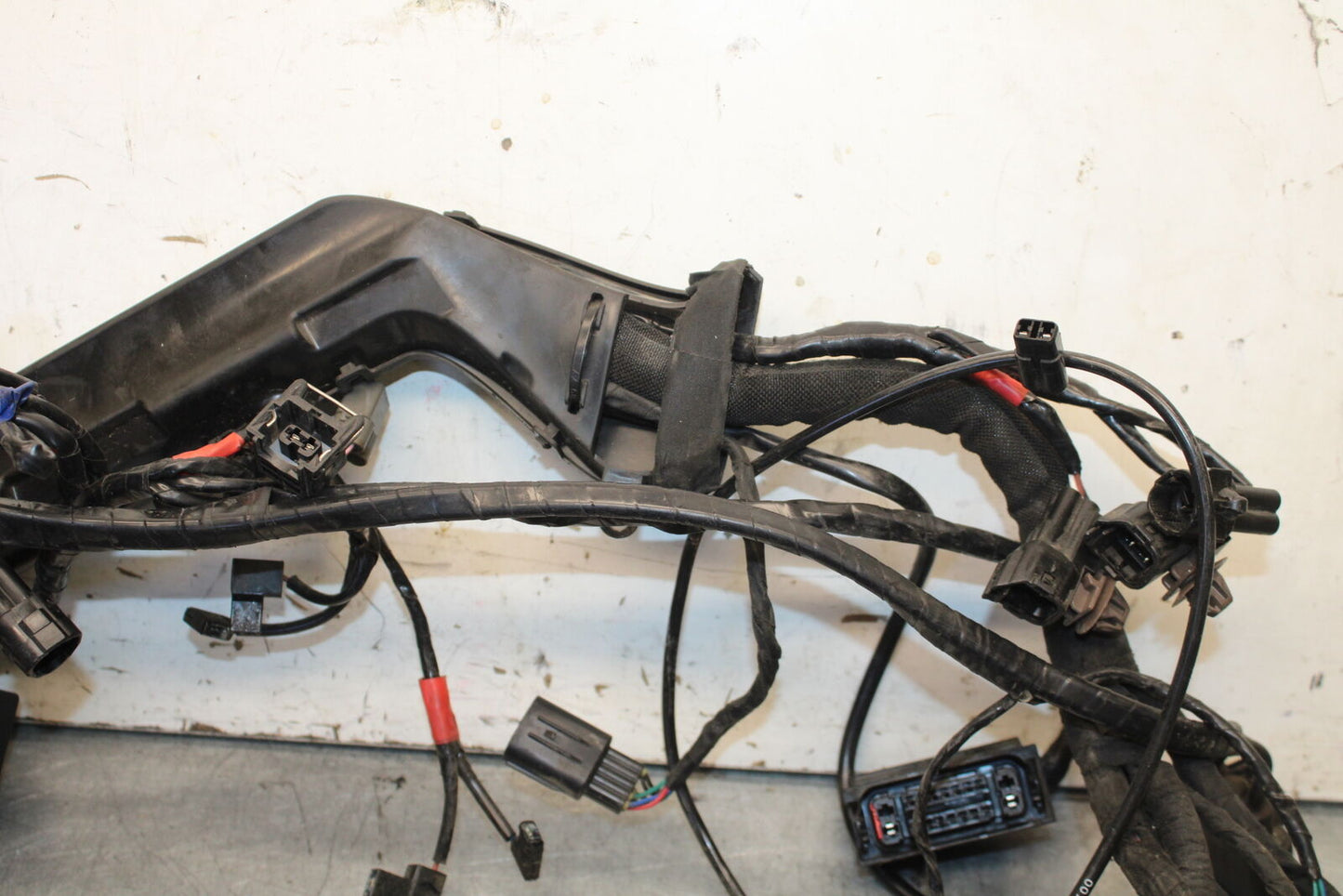 19-21 TRIUMPH SPEED TWIN 1200 MAIN ENGINE WIRING HARNESS MOTOR WIRE LOOM BB653