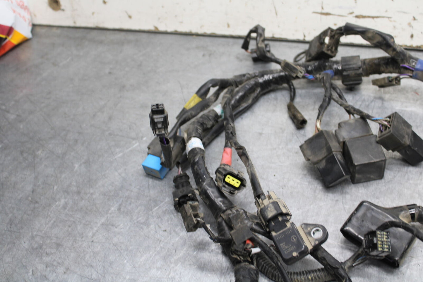 14-16 TRIUMPH AMERICA LT MAIN ENGINE WIRING HARNESS MOTOR WIRE LOOM BB720