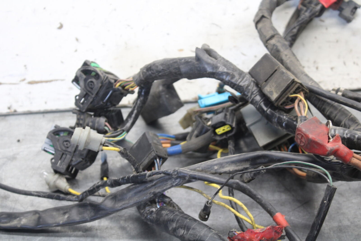01-06 TRIUMPH TIGER 955I MAIN ENGINE WIRING HARNESS MOTOR WIRE LOOM BB693