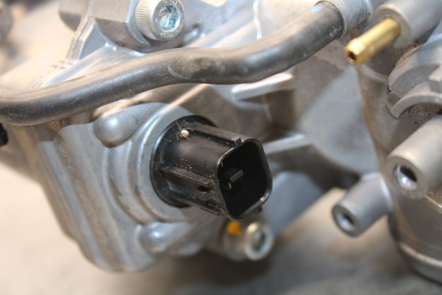 19-21 TRIUMPH SPEED TWIN 1200 THROTTLE BODIES BB653