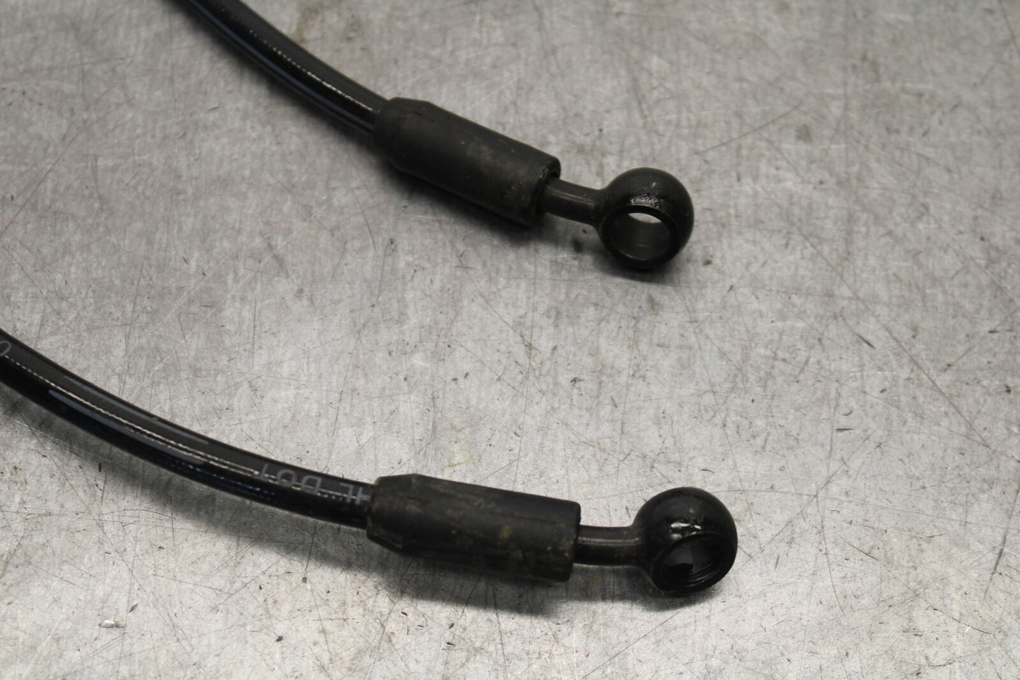 19-21 TRIUMPH SPEED TWIN 1200 FRONT BRAKE CALIPER HOSES LINES BB653