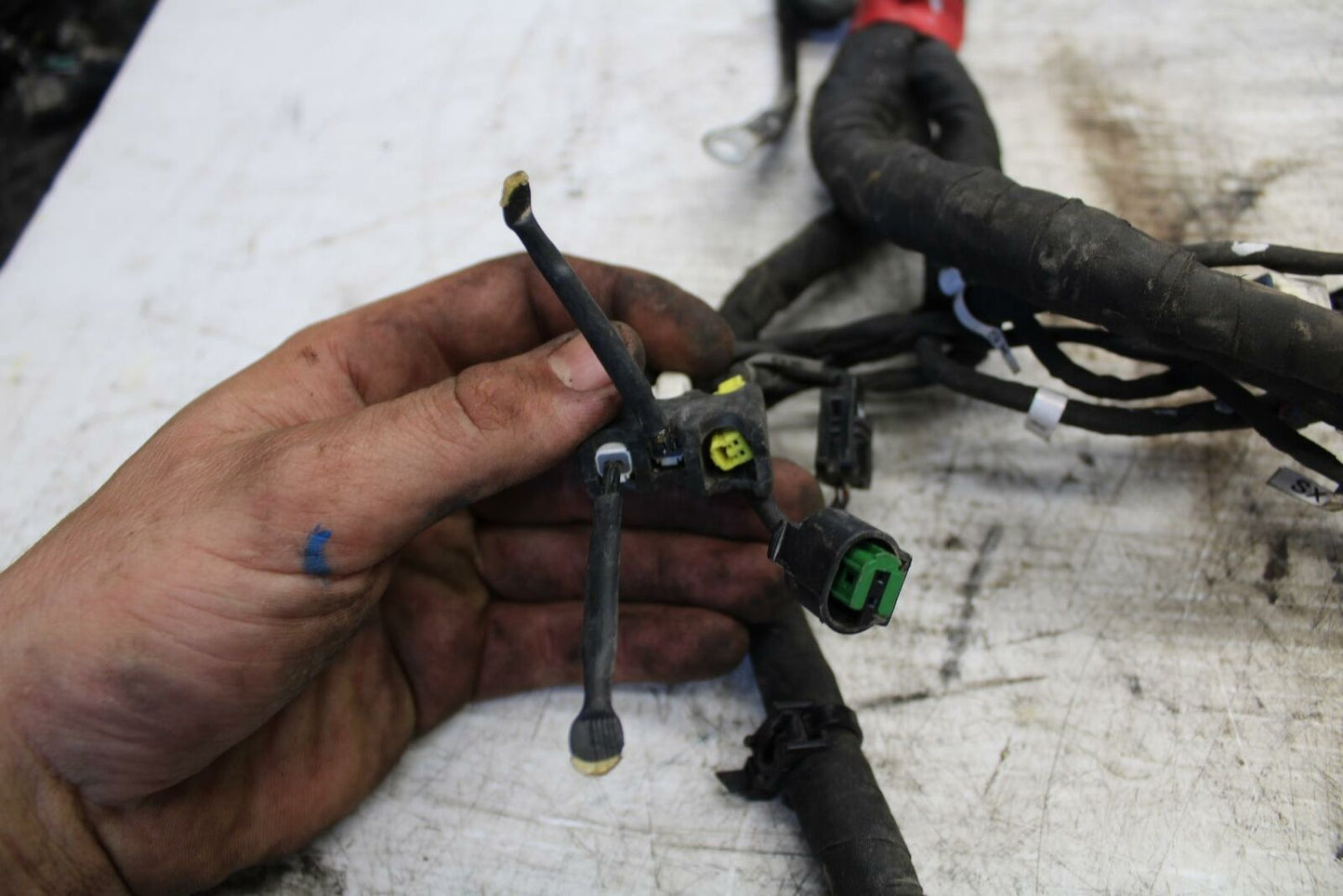 17-20 DUCATI MONSTER 797 MAIN ENGINE WIRING HARNESS WIRE LOOM 5101B851D BB309